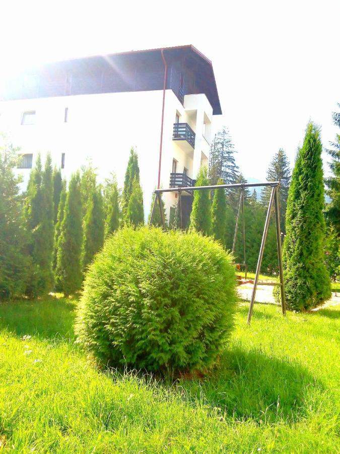 Hotel Miraj - Restaurant & Sauna & Biliard Poiana Brasov Eksteriør billede